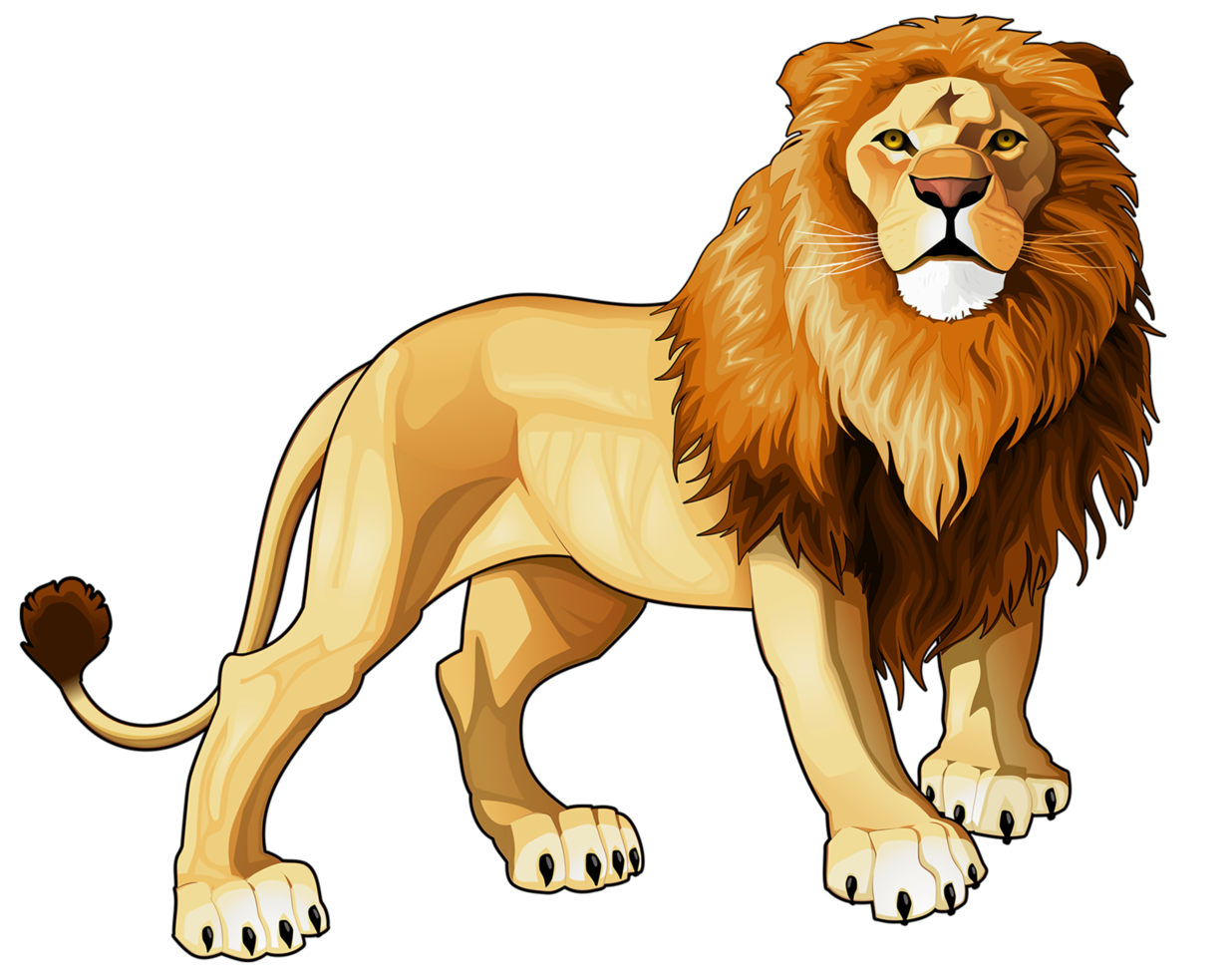 Lion transparent background png