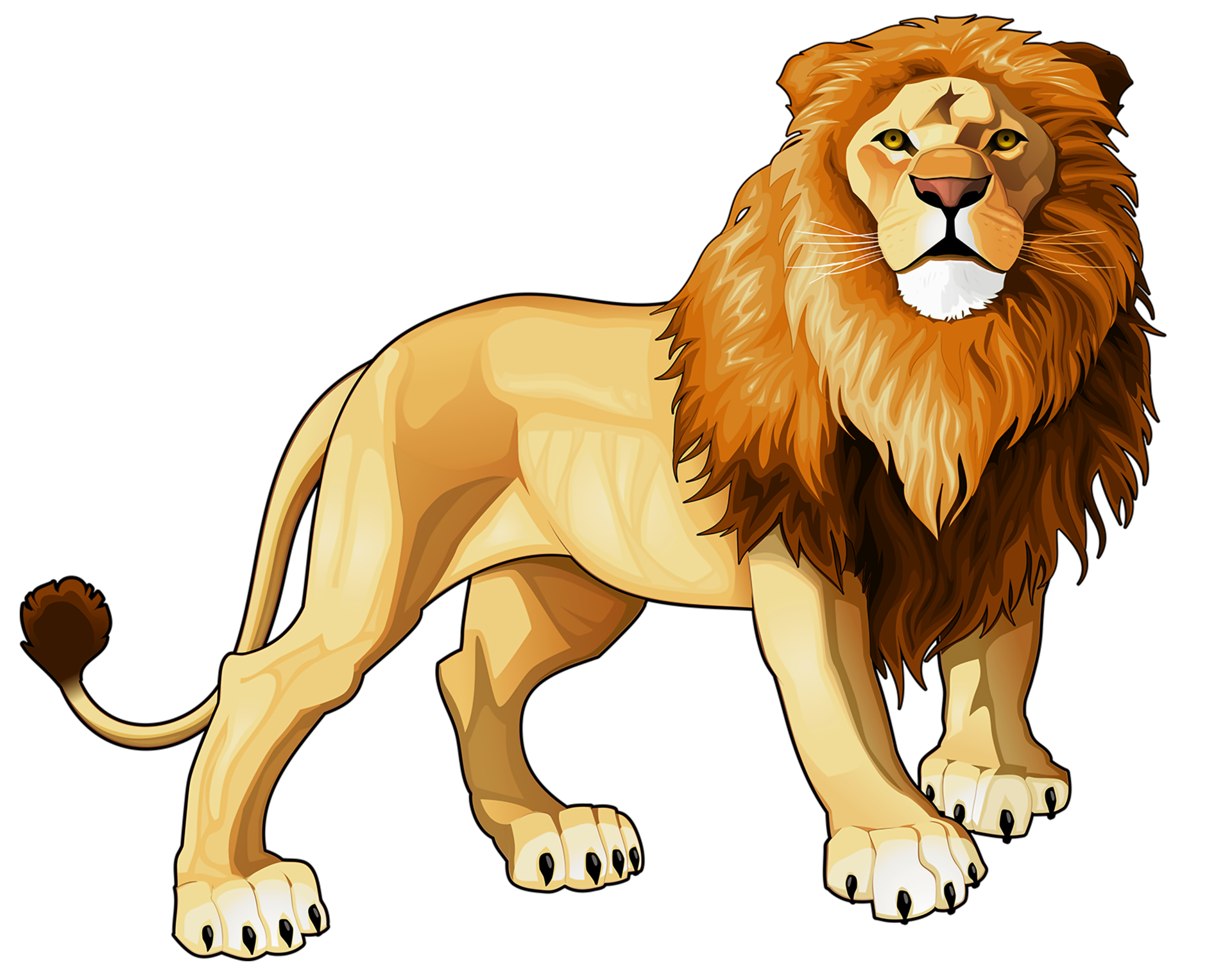 Lions PNGs for Free Download