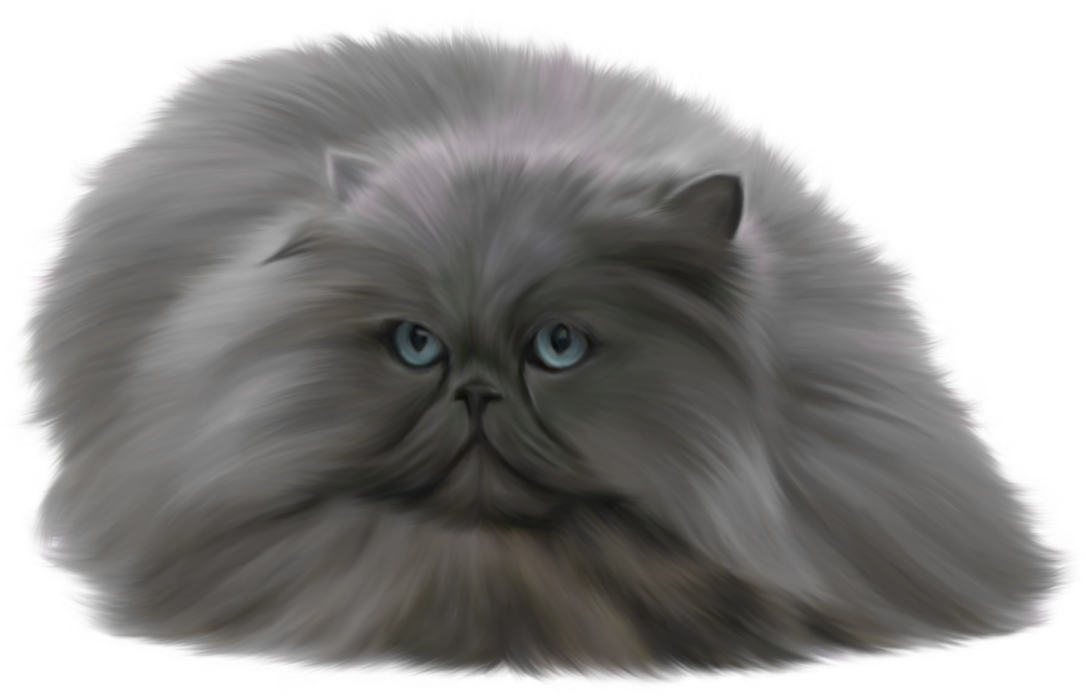 Grey Cat transparent background png