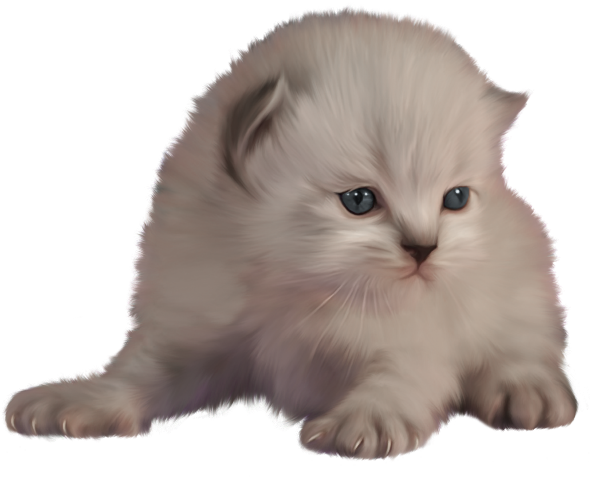 Fundo Transparente De Gatinho 12893829 PNG imcdb-1987-chevrolet-caprice-estate-in-ncis-los-angeles-2009-2023