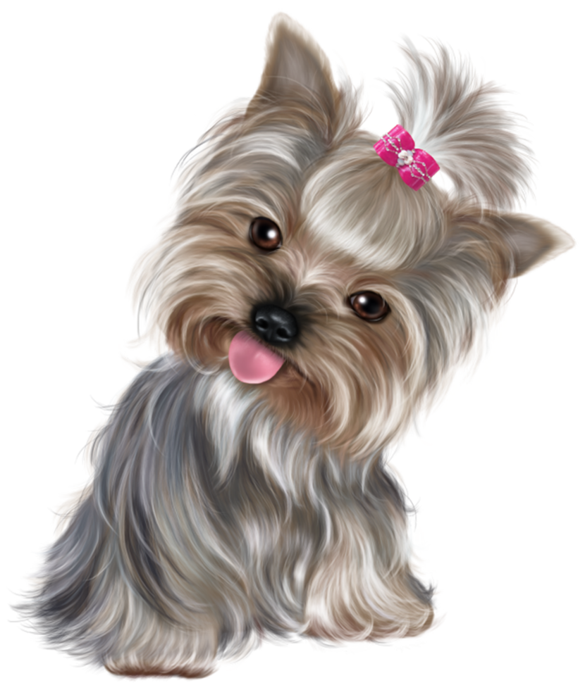 Cute Puppy transparent background png