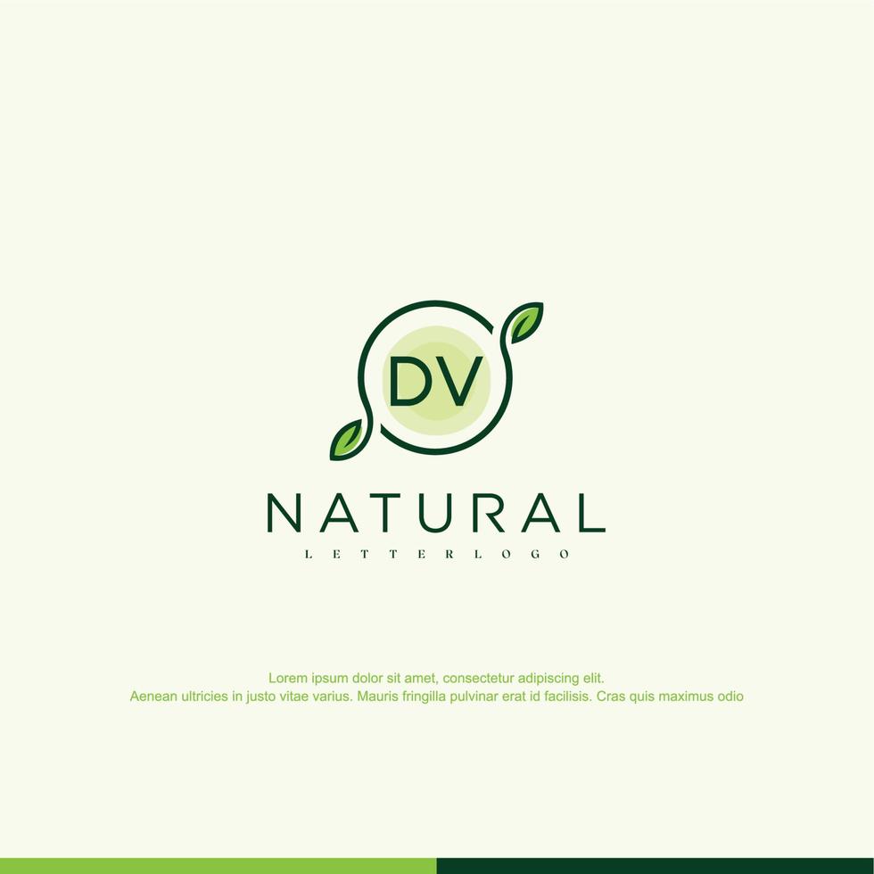 logotipo natural inicial de dv vector