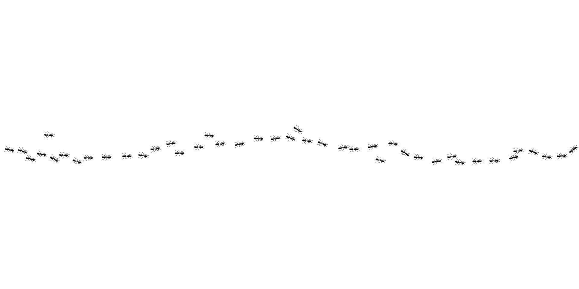 Ants marching in trail. Black ants path isolated in white background. Vector illustration