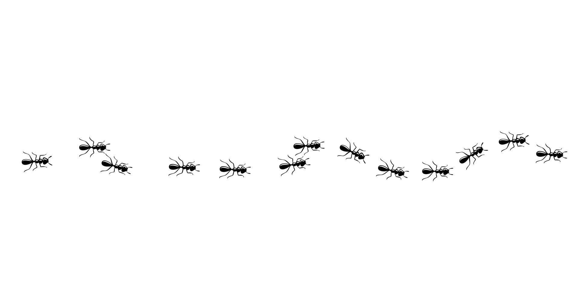 Ants trail pattern. Ant path isolated in white background. Vector