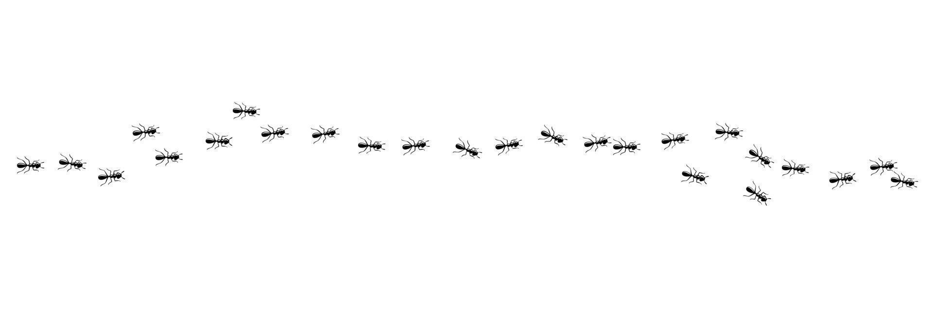 Ants colony marching in trail. Ant path isolated in white background. Vector illustration