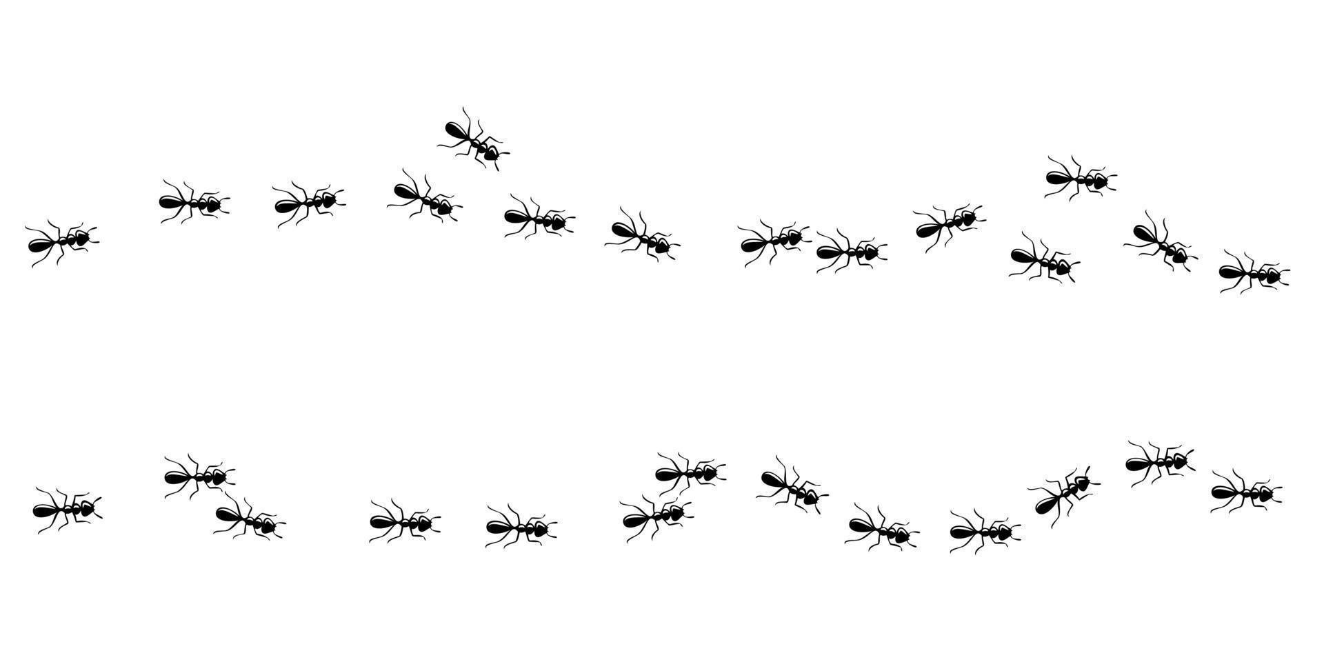 Ants marching in trail. Ant way isolated in white background. Vector