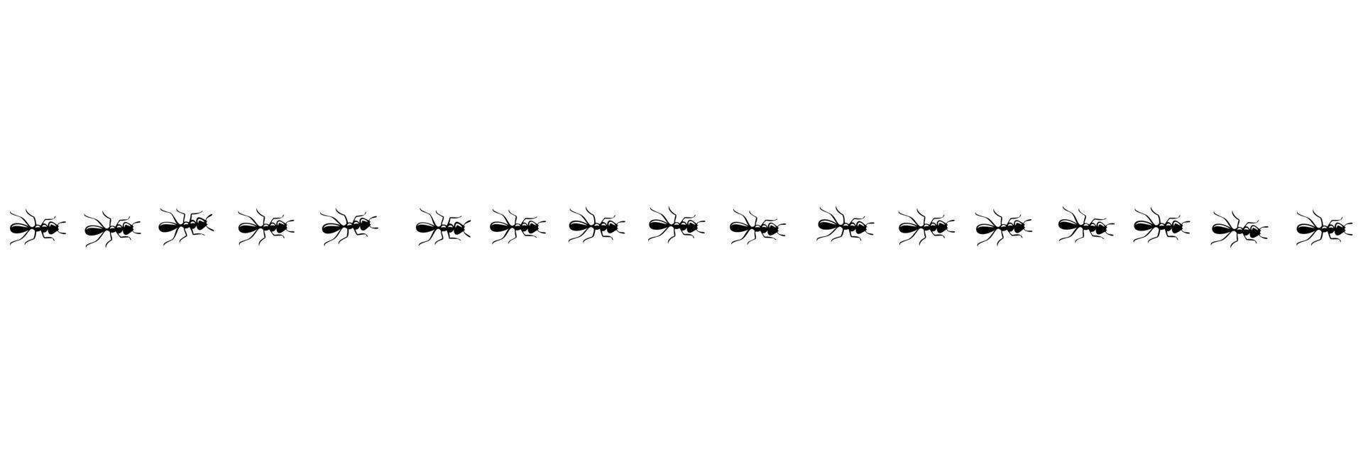 Ants marching in trail. Ant path isolated in white background. Vector illustration