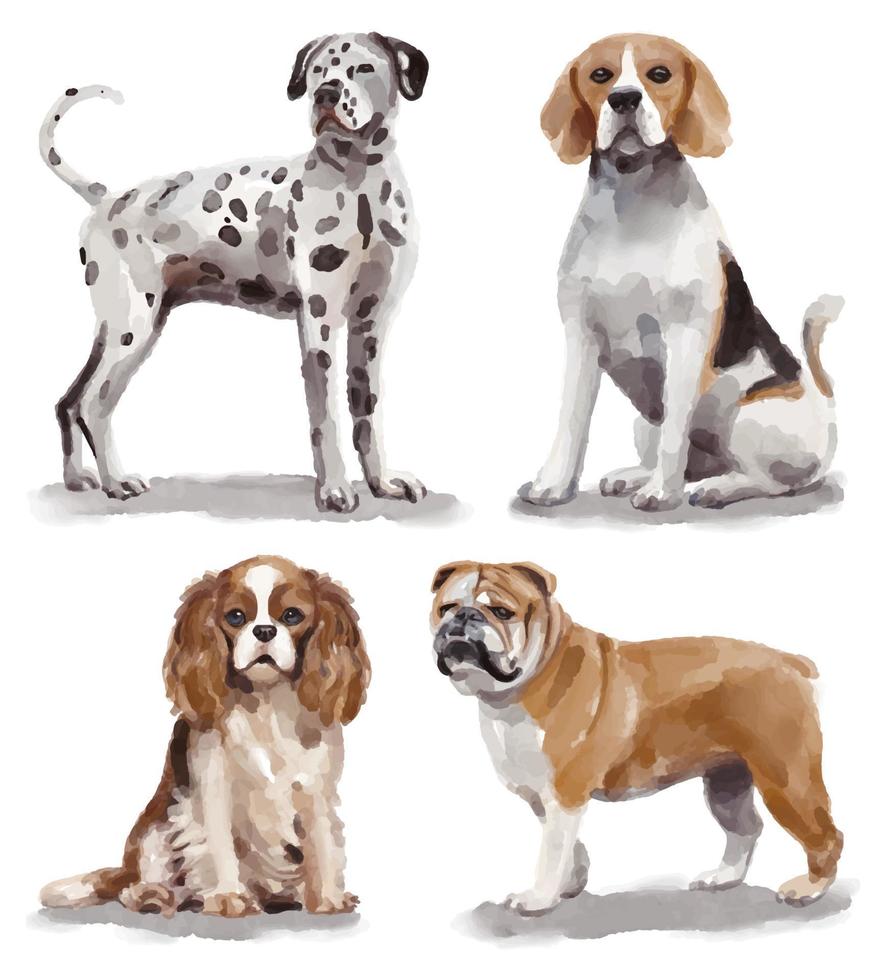 Watercolor illustration with different breeds of dogs - dalmatian, beagle, king charles spaniel, bulldog vector