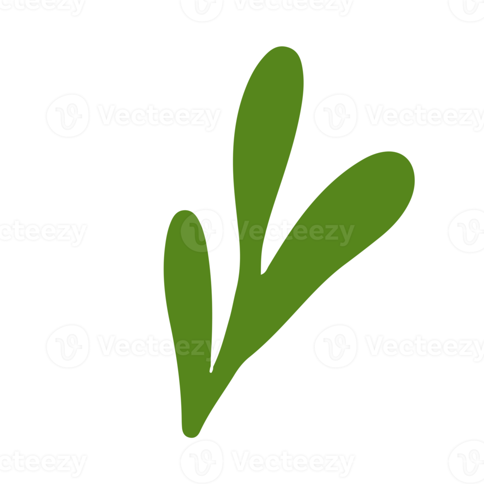Simple leaf illustration for design element and ornament png