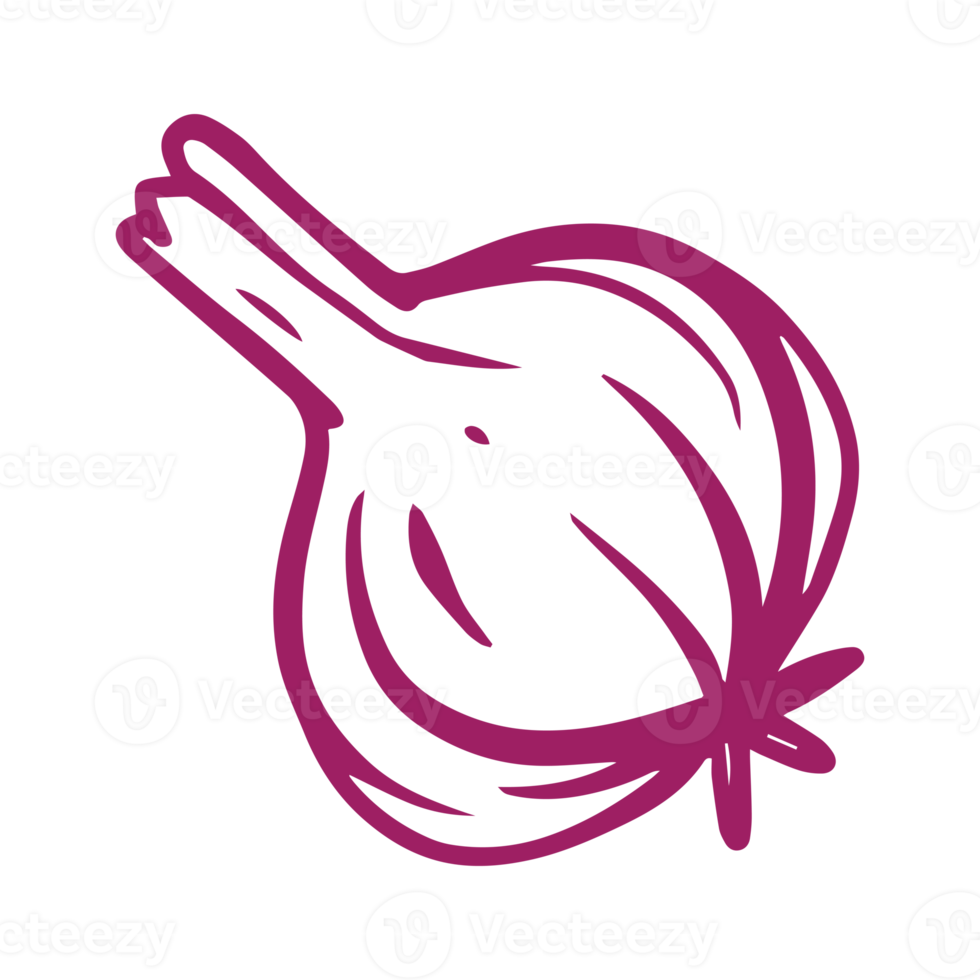 ilustração desenhada à mão de alho para elemento de design de alimentos saudáveis. tema colorido de vegetais e frutas png