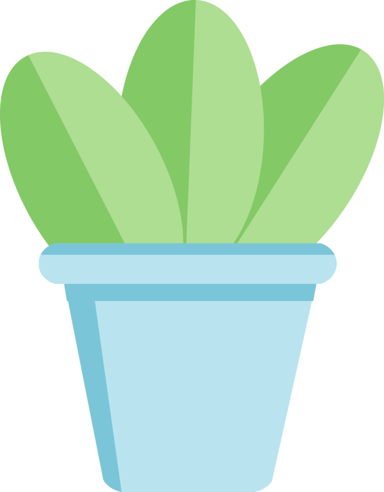Cactus in a blue pot, element for decoration png