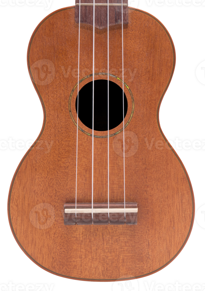 The brown ukulele isolated png