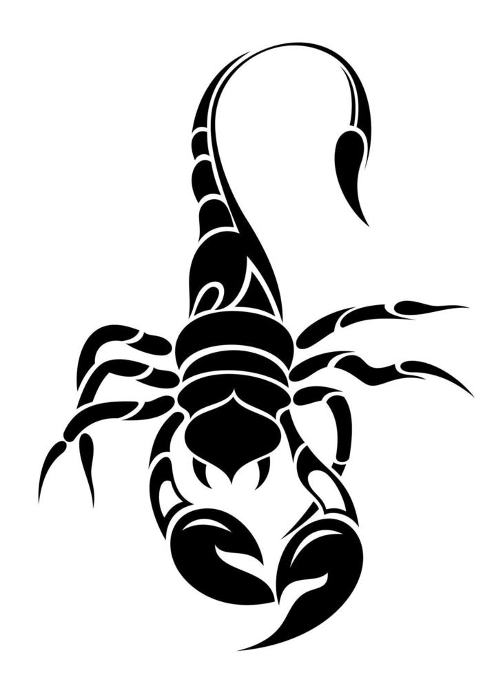 Ilustración de vector de diseño gráfico de escorpión, icono, boceto de tatuaje de arte