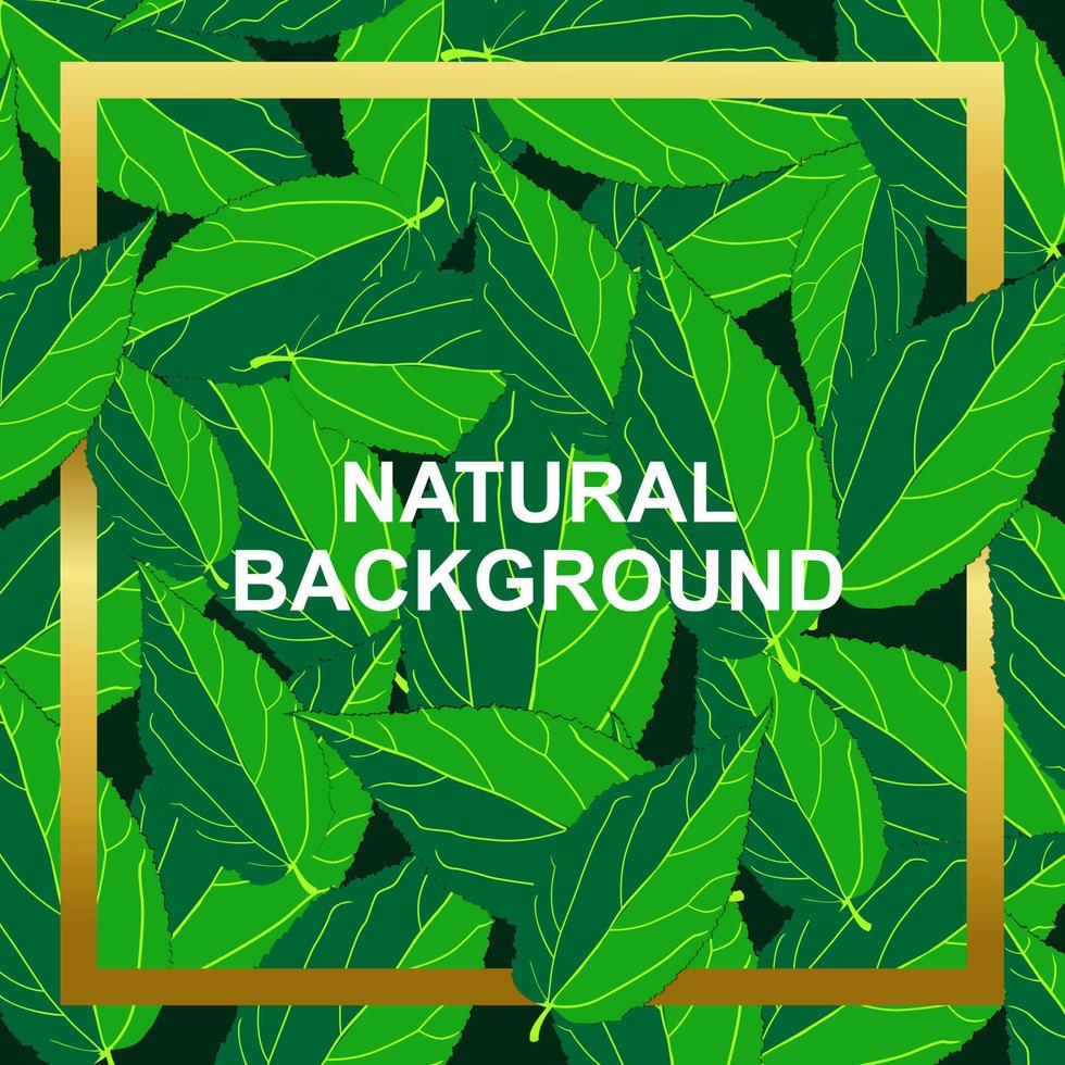 natural background with leaves suitable for promoting your product vector