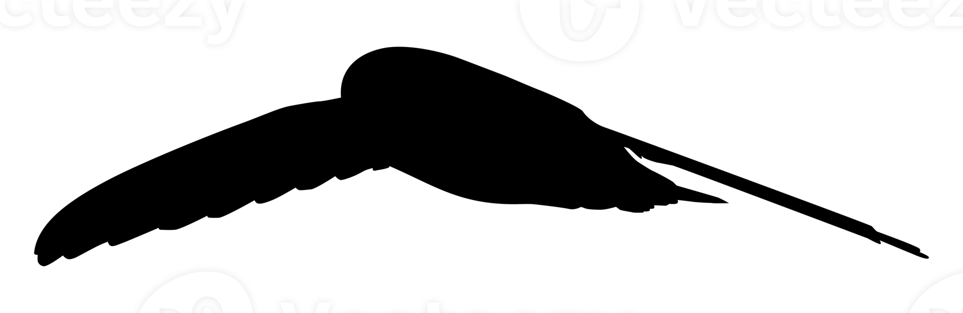 fliegende Schwalbenvogelsilhouette für Logo, Piktogramm, Website. Kunstillustration oder Grafikdesignelement. PNG-Format png