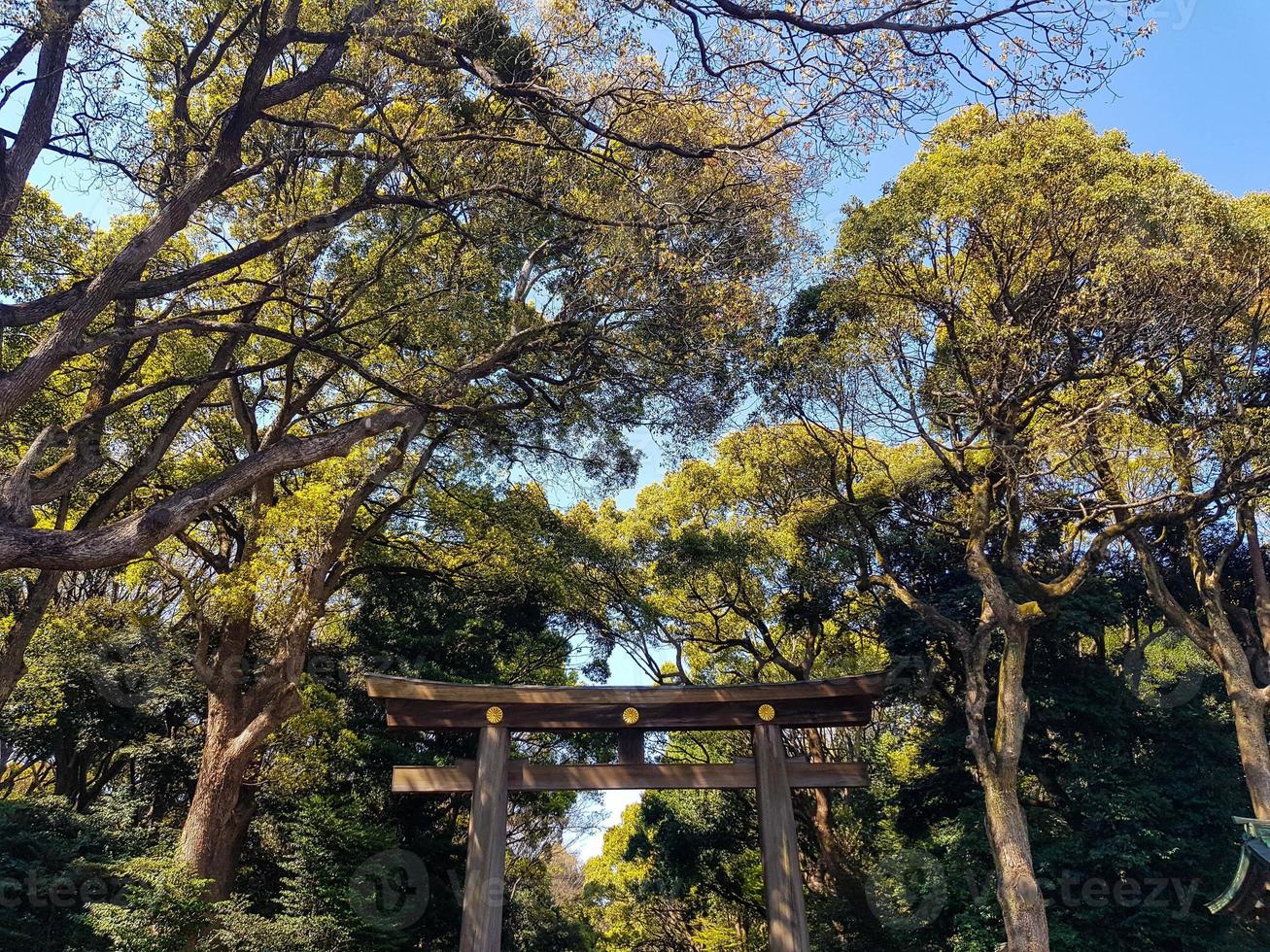 puerta torii situada en la entrada del santuario meiji jingu iat harajuku urban forest, tokio. foto