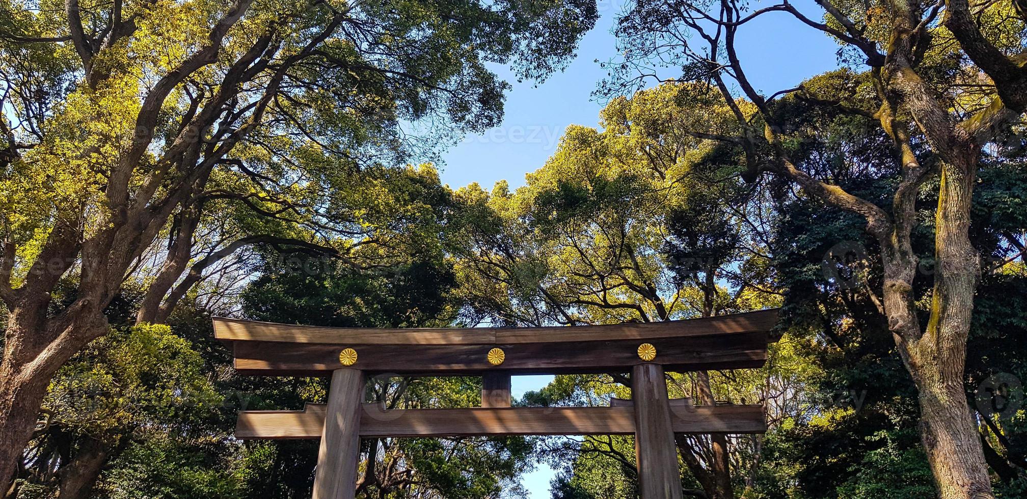 Torii Gate standing at the entrance to Meiji Jingu Shrine iat Harajuku Urban Forest, Tokyo. photo