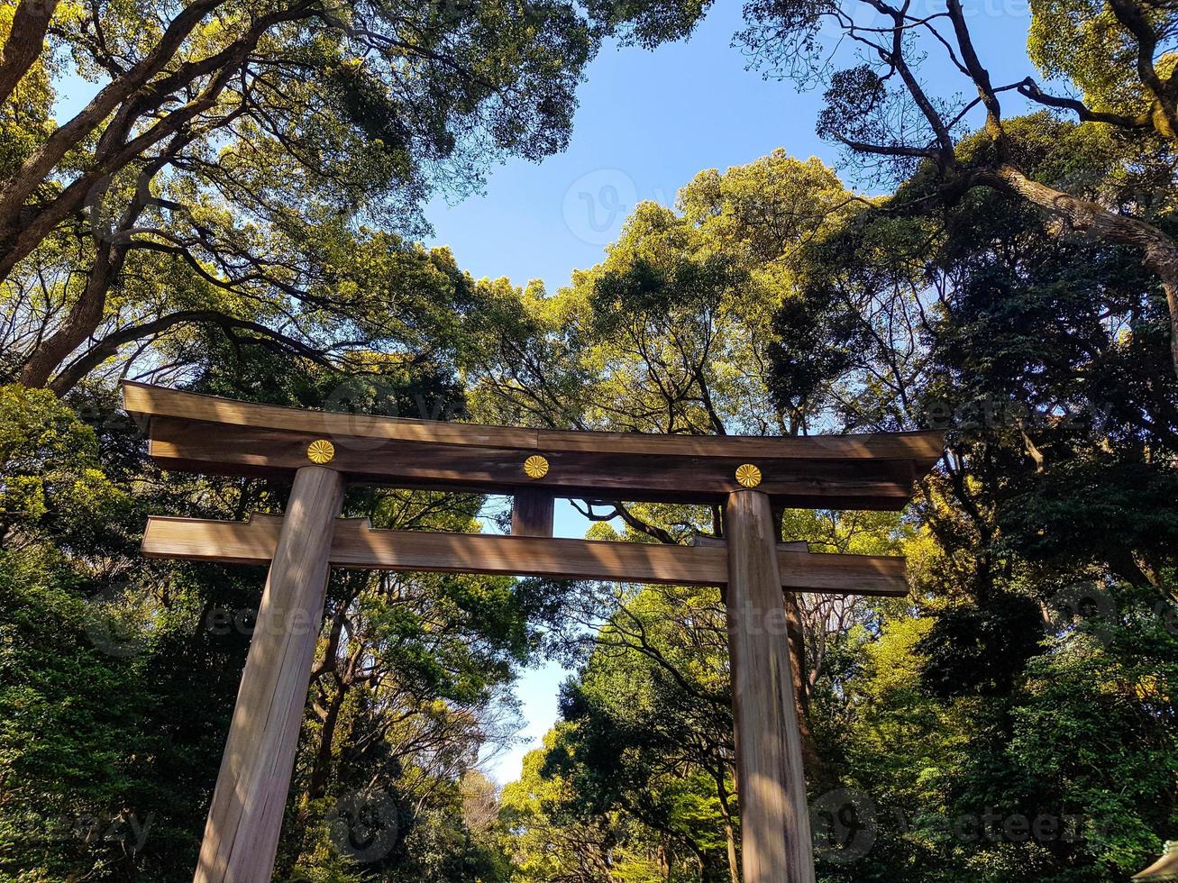 Torii Gate standing at the entrance to Meiji Jingu Shrine iat Harajuku Urban Forest, Tokyo. photo