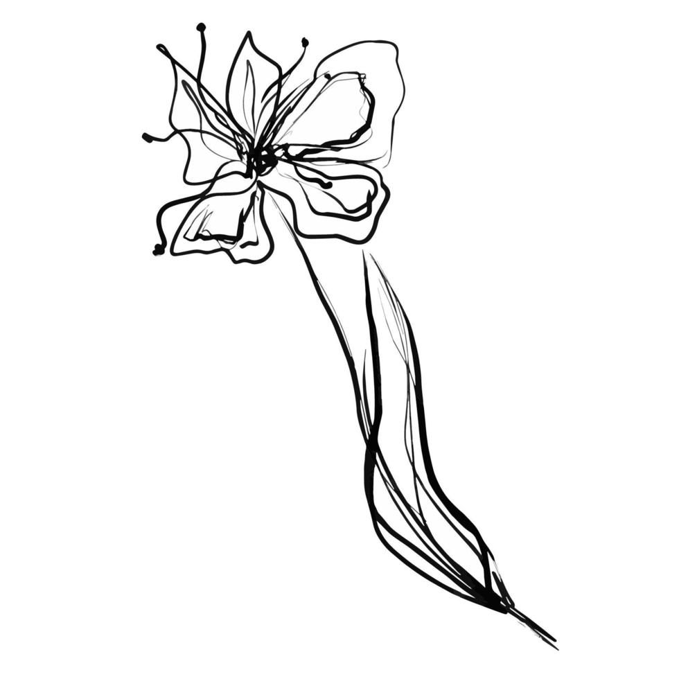 dibujo a tinta de una flor. aislado sobre fondo blanco. vector