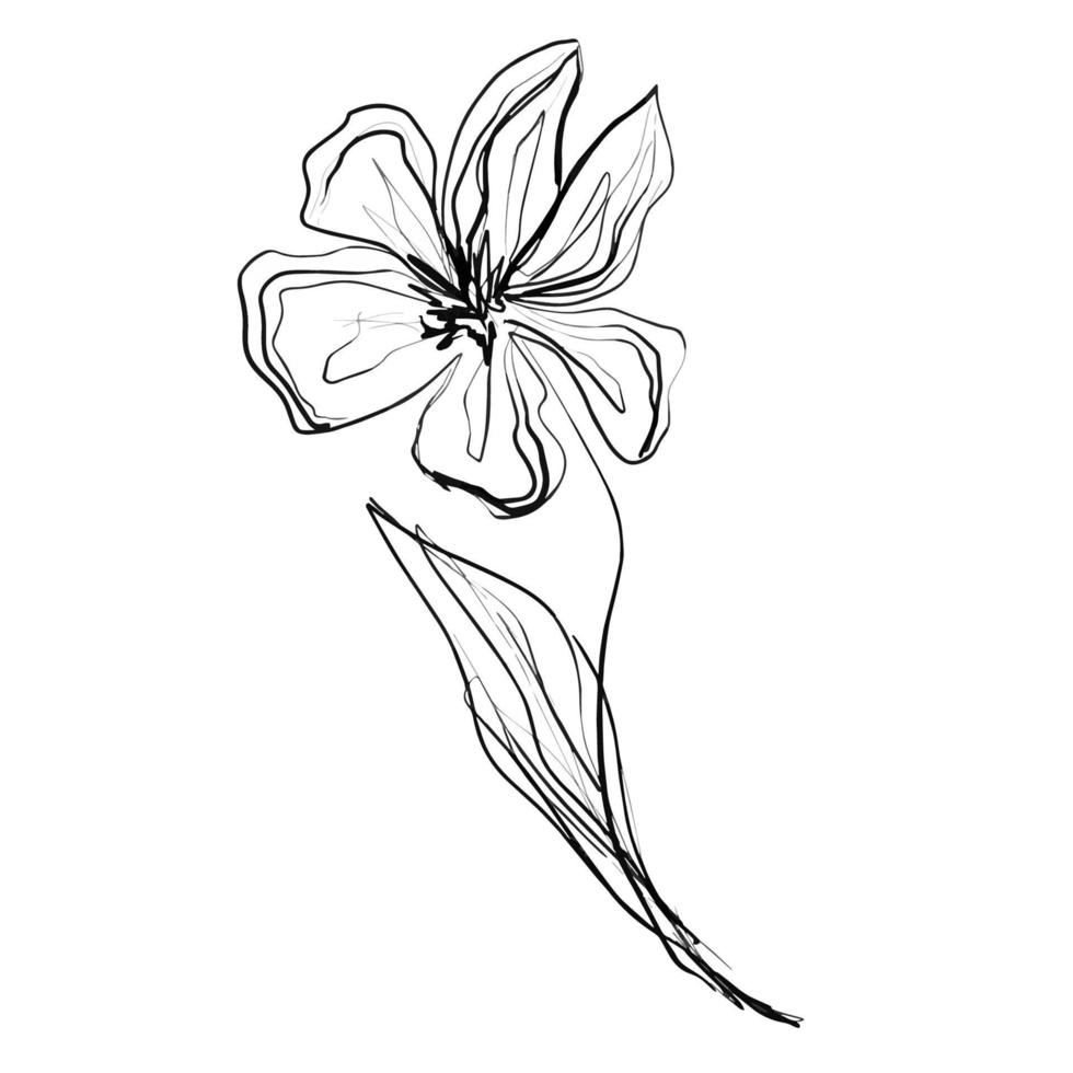 Ink drawing of a flower. Isolated on white background. vector