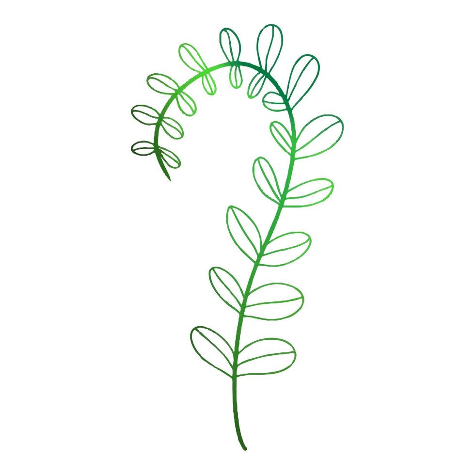 Green fern leaf in doodle style. Vector