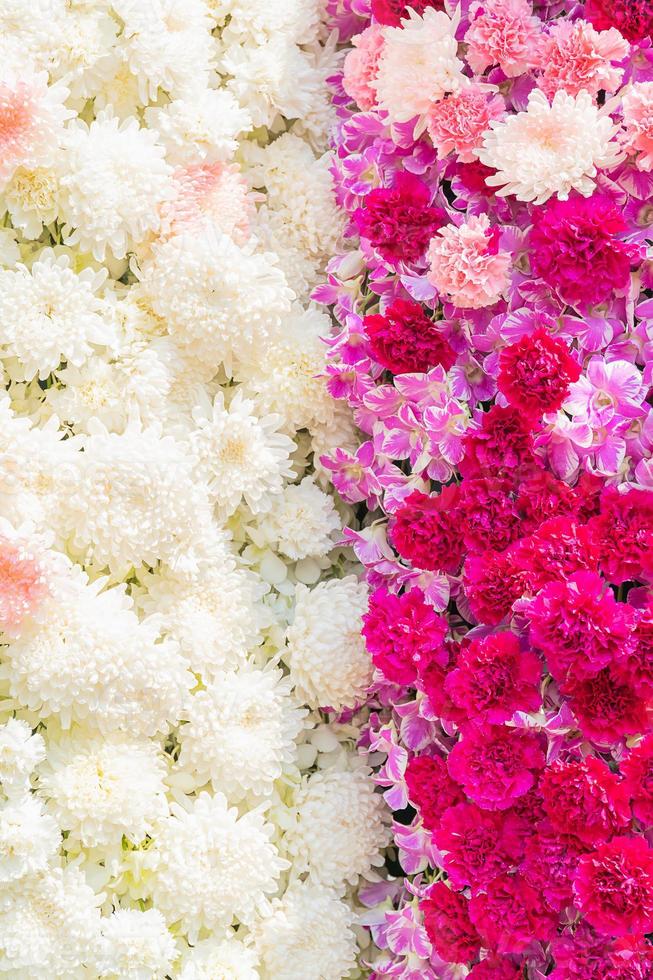 Carnation Flower and chrisanthemum flower photo