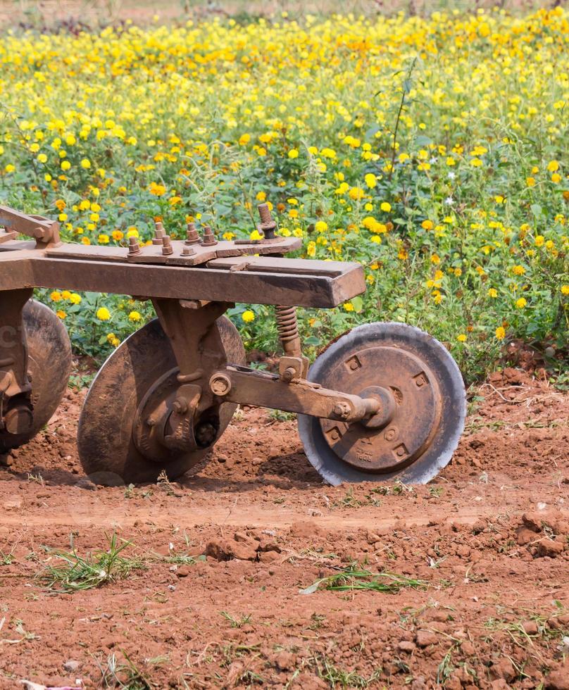 Tractor in flower garden photo