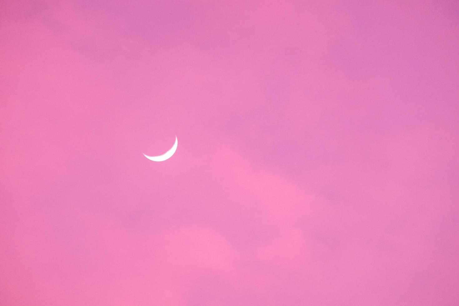 Half Moon in the morning on pink sky photo