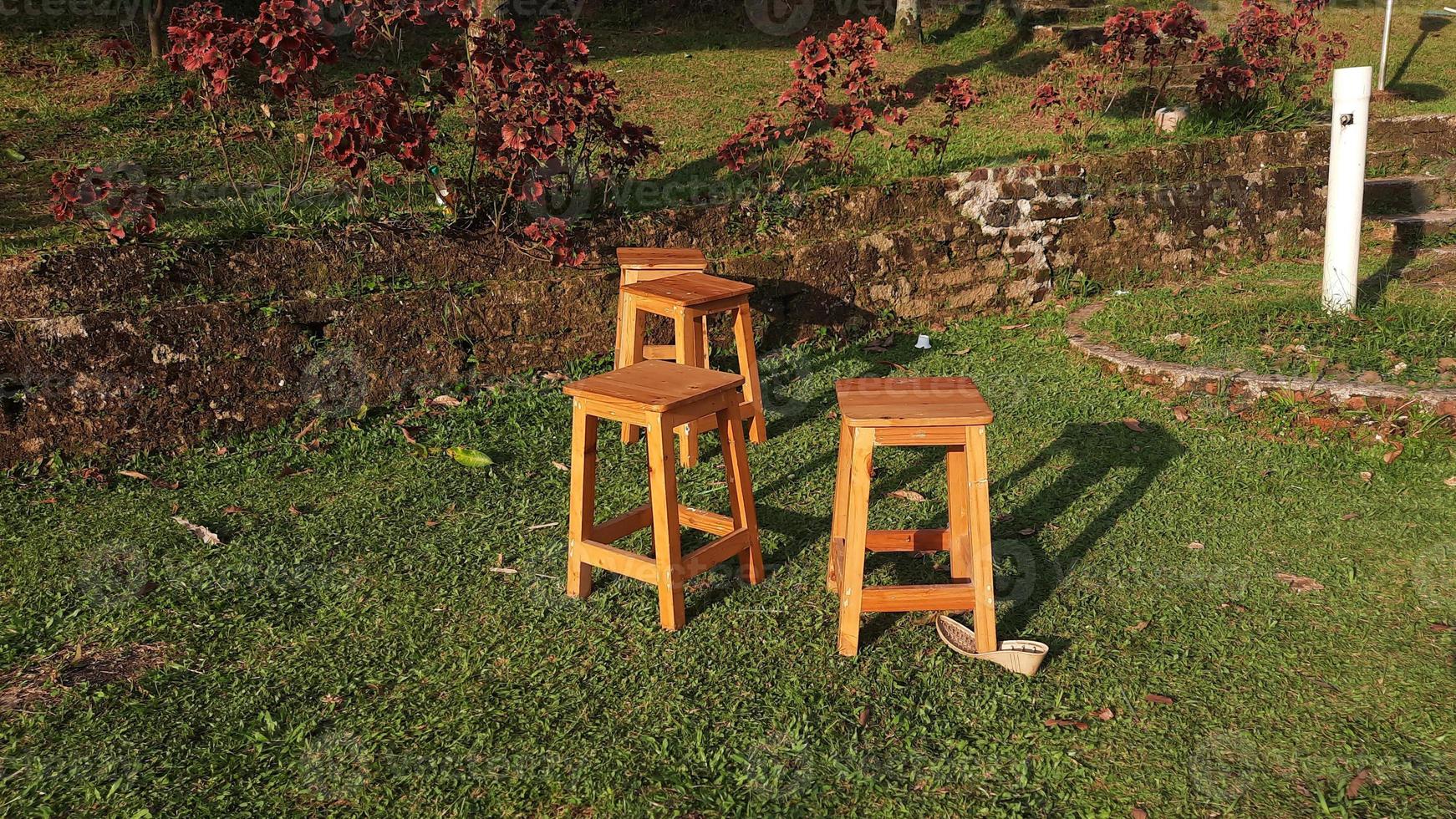 A few wooden chairs in the green garden with the evening sun shining 01 photo