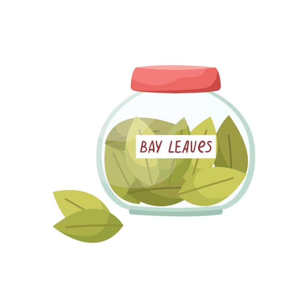 Vector illustration of a glass jar with bay leaves. Spices.