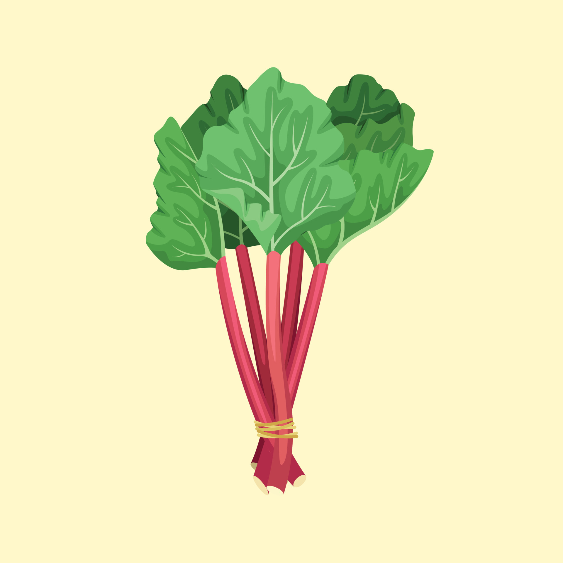 Vector illustration of a bunch of rhubarb. Summer fruits and vegetables ...