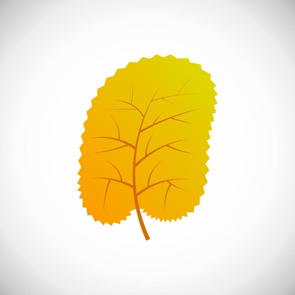 Yellow leaf beech. Autumn leaf of a tree on a white background. Vector illustration