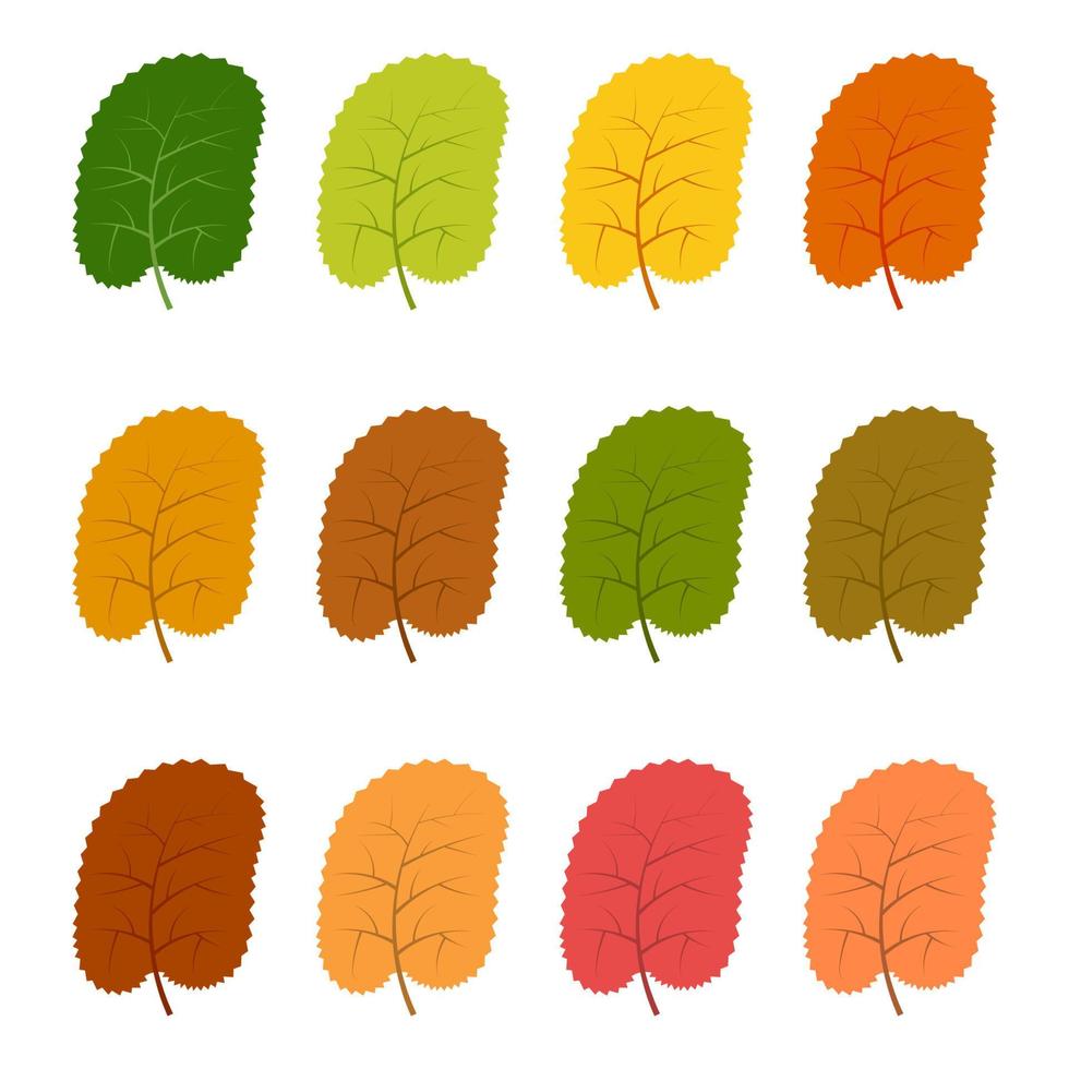 Set of twelve autumn leaves in different autumn colors. Vector illustration.