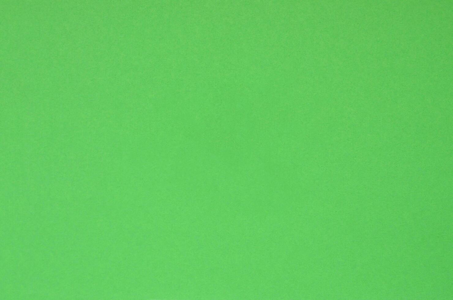 Texture background of fashion pastel color. Green geometric textured paper. Top view photo