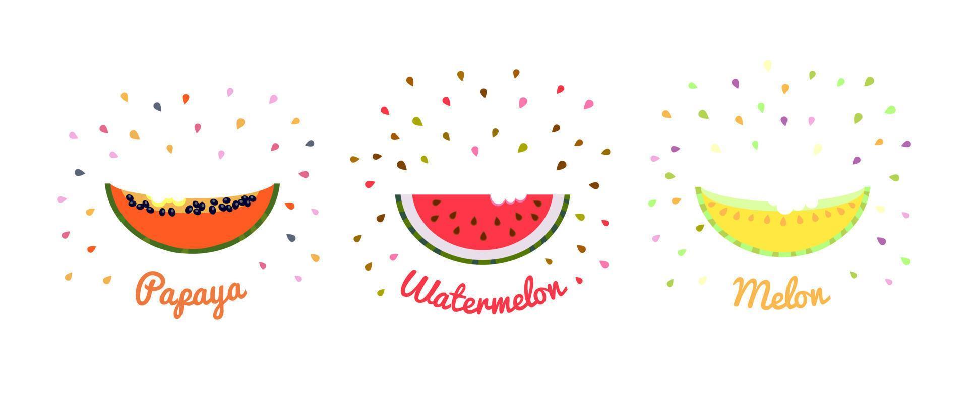 Slice of papaya, watermelon and melon. vector