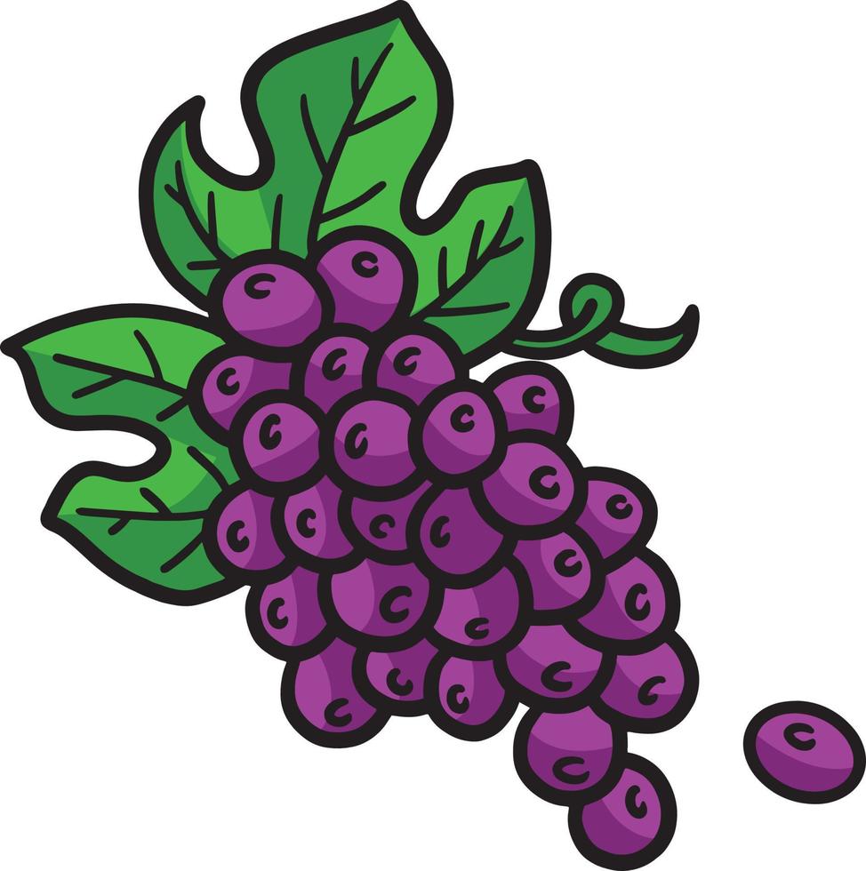 Grapes Cartoon Colored Clipart Illustration vector
