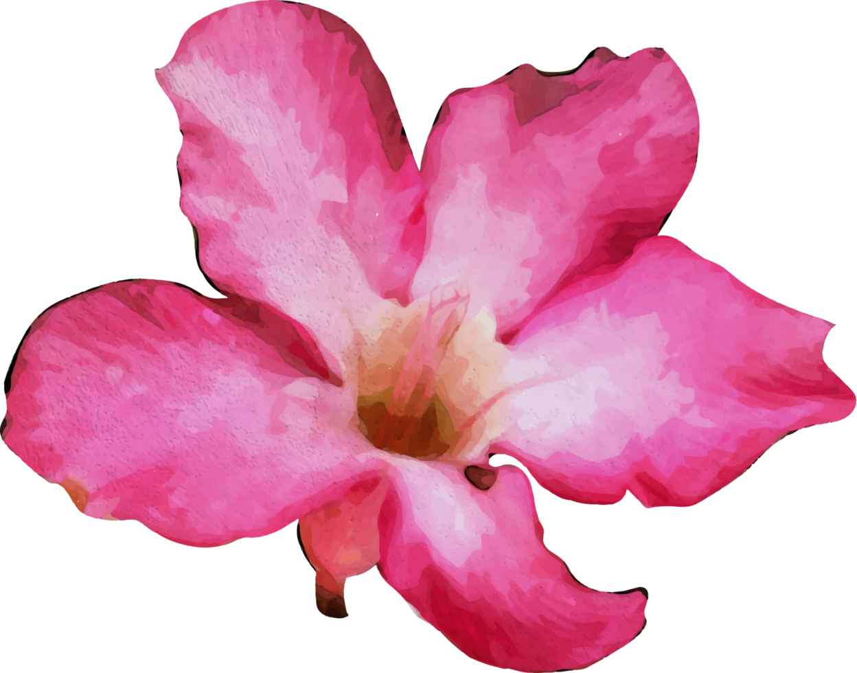 Red magnolia flower watercolor illustration png