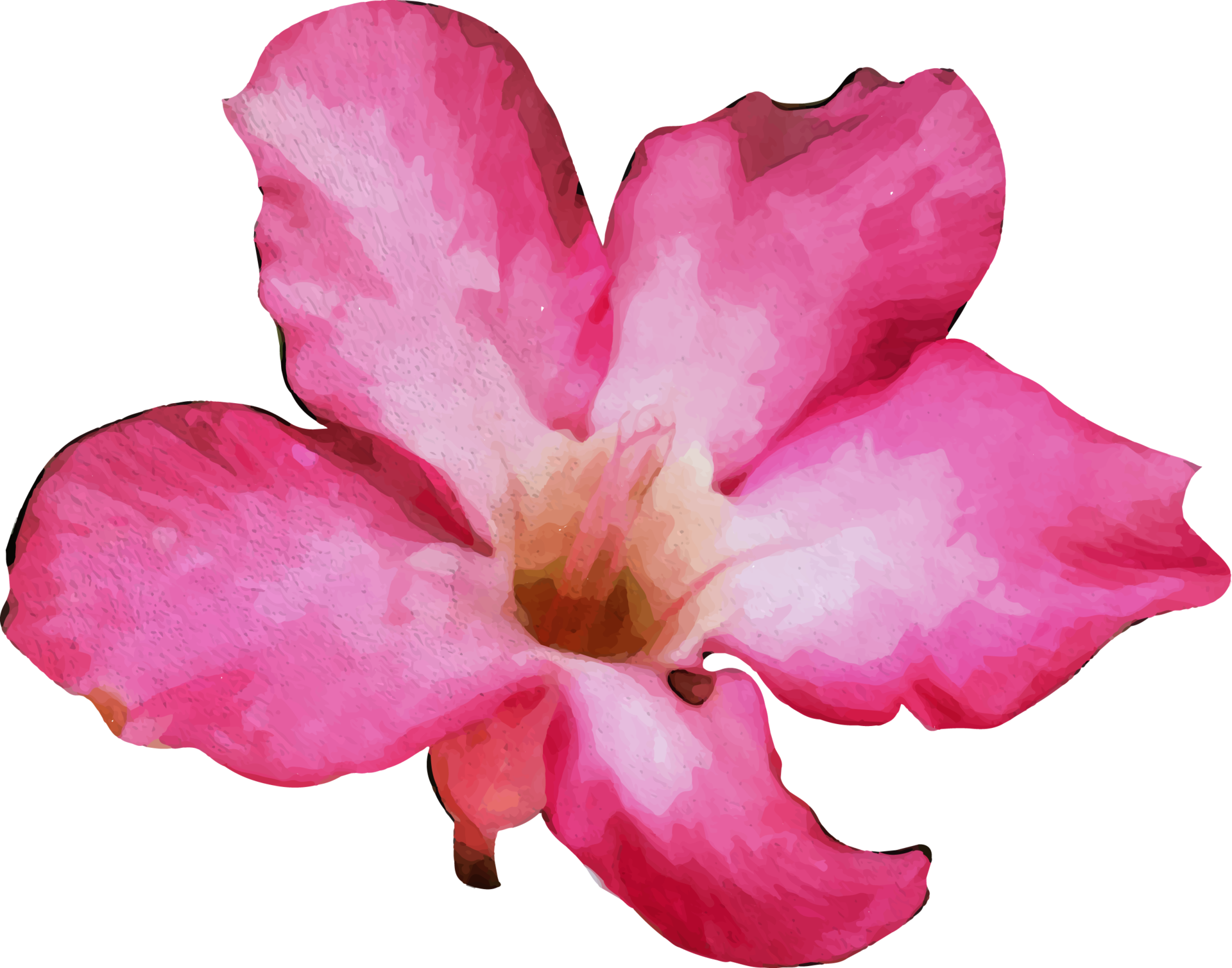 Magnólia Flor Aquarela PNG , Aquarela, Mão, Empate PNG Imagem para download  gratuito