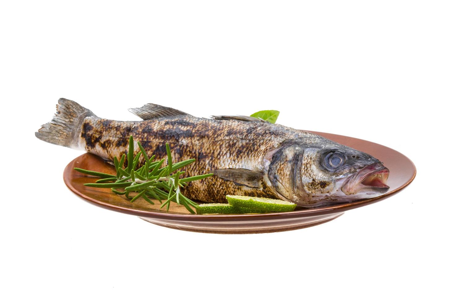 Roasted seabass on white photo