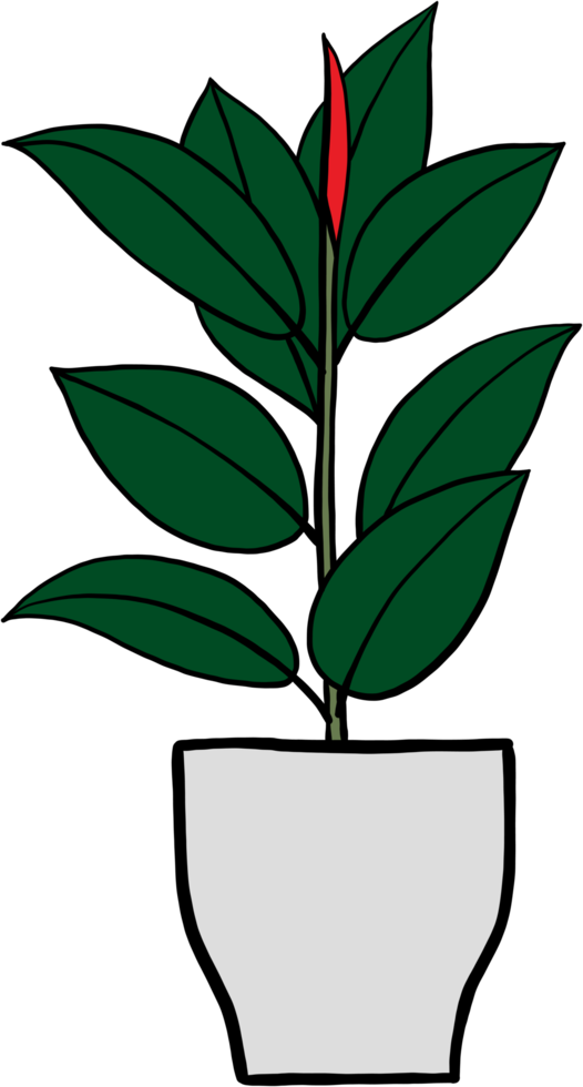 simplicity rubber fig plant freehand drawing flat design. png