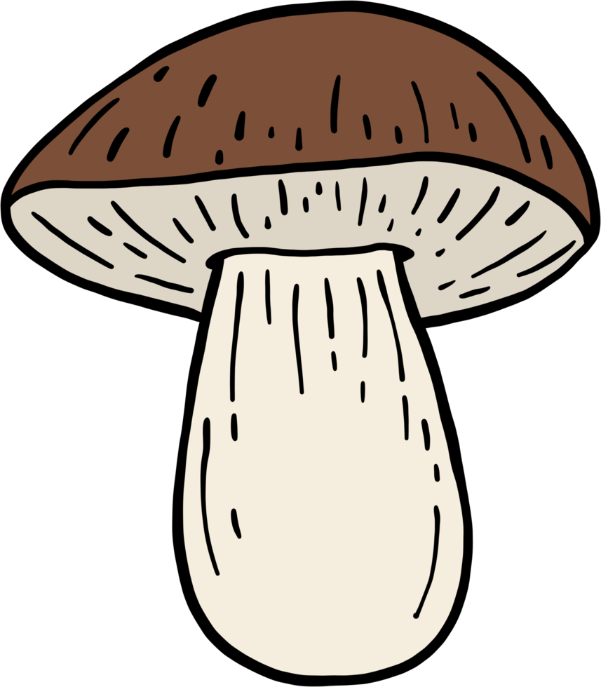 doodle croquis à main levée dessin de champignon bolet. png