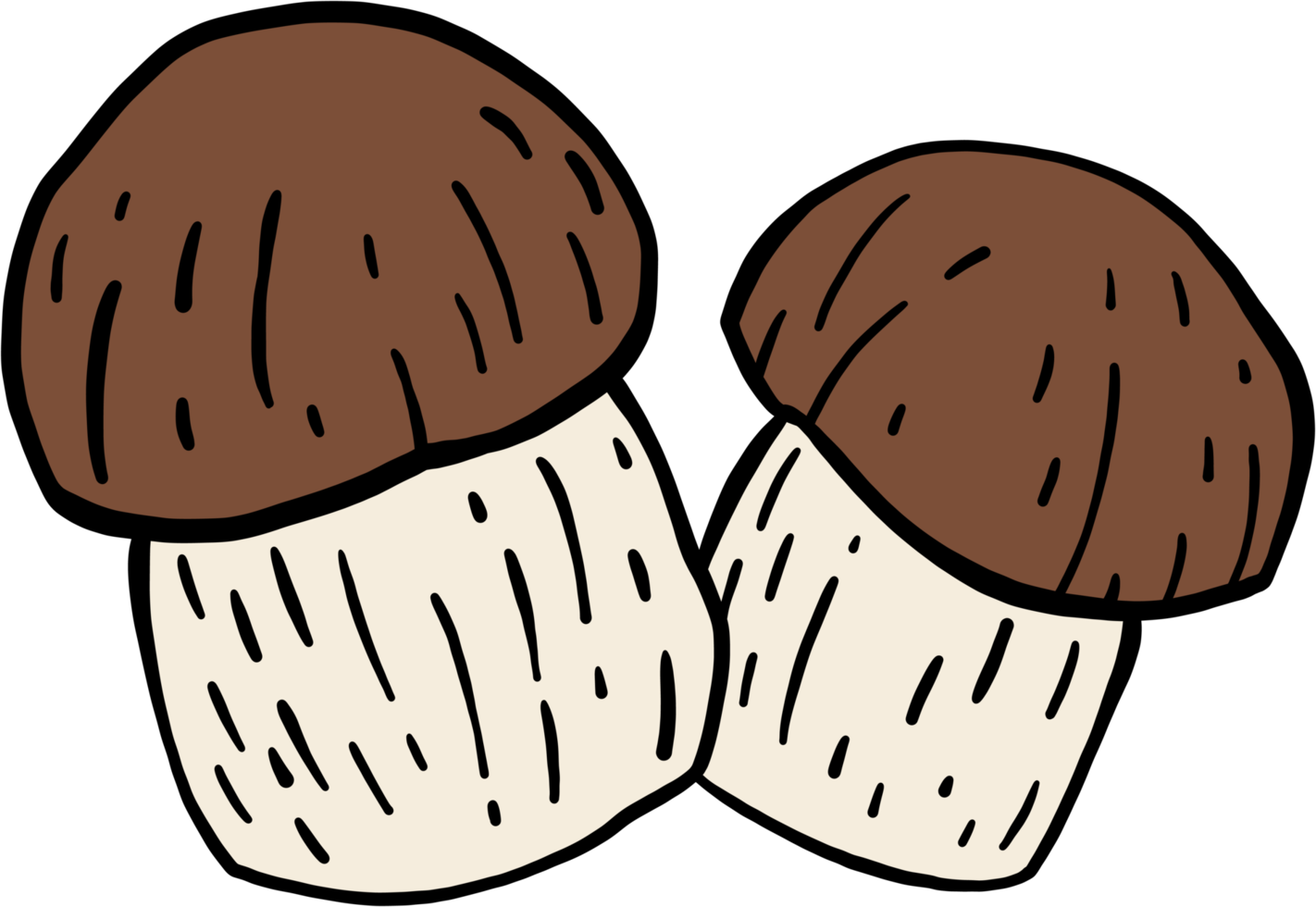 doodle freehand sketch drawing of bolete mushroom. png