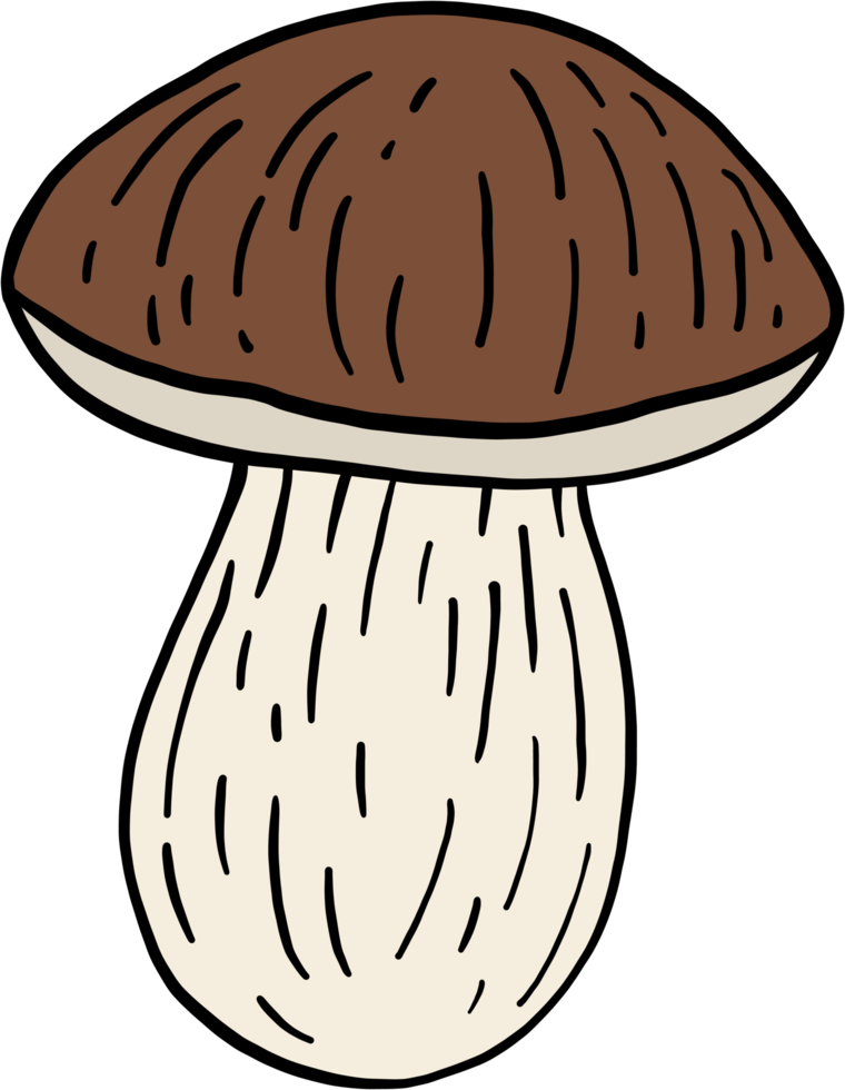 doodle croquis à main levée dessin de champignon bolet. png