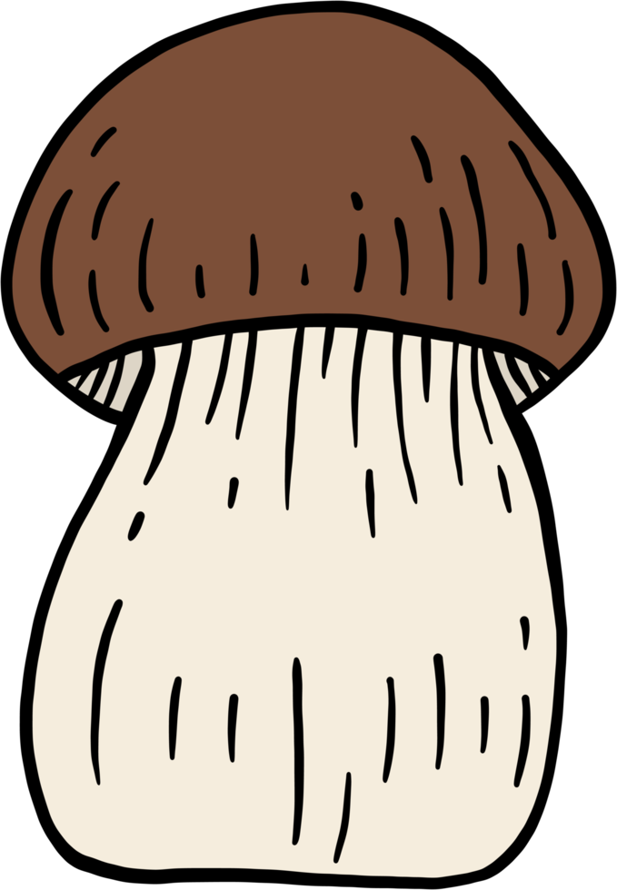 doodle croquis à main levée dessin de champignon bolet. png
