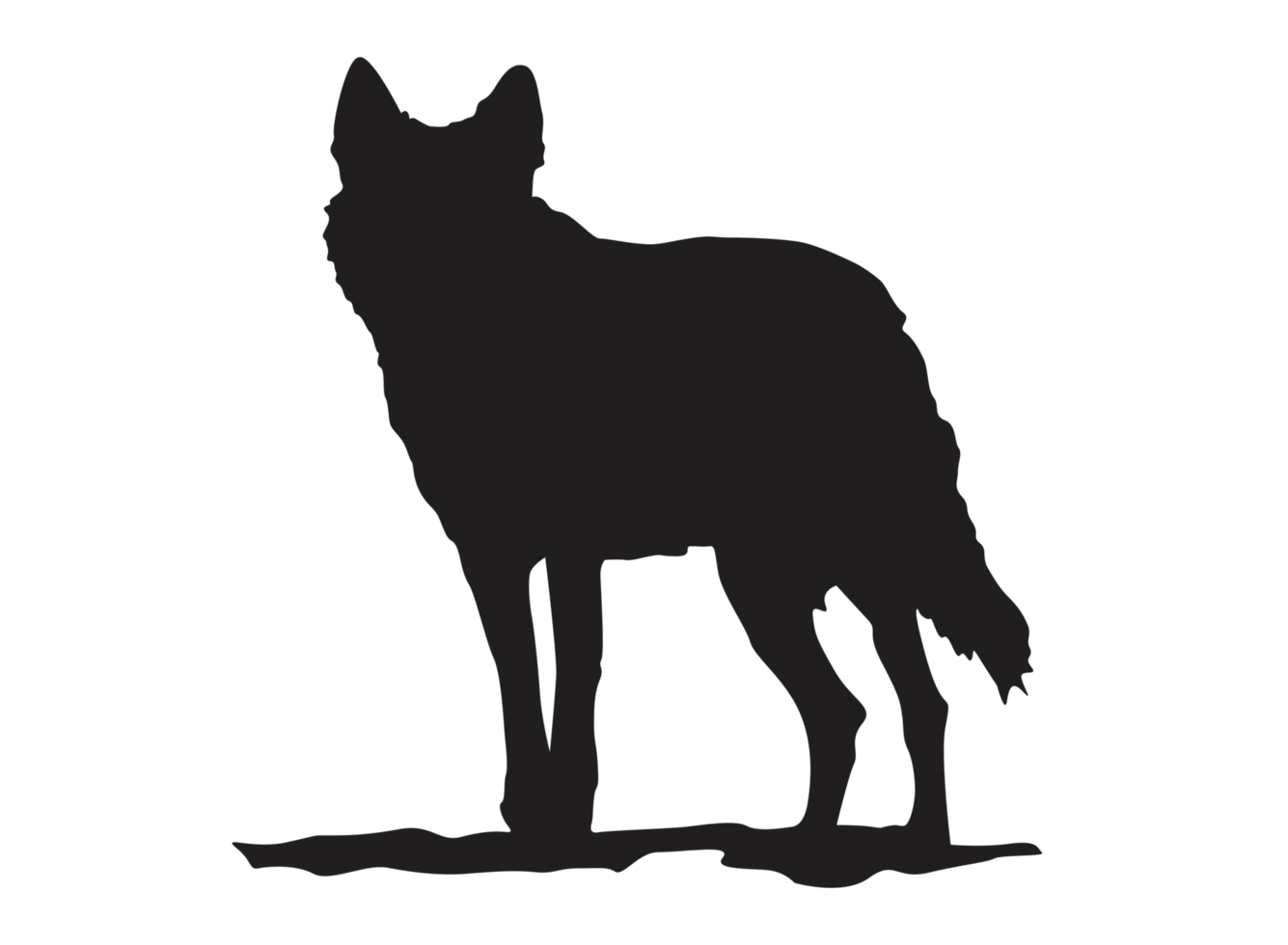 Animal - Wolf Silhouette png