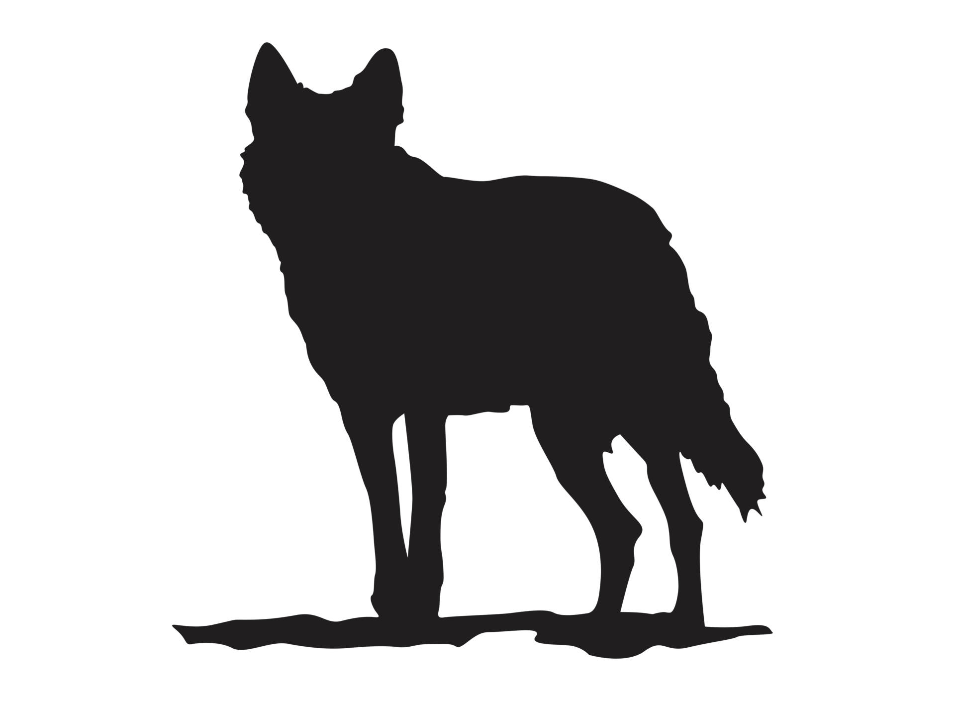 Wolf png images