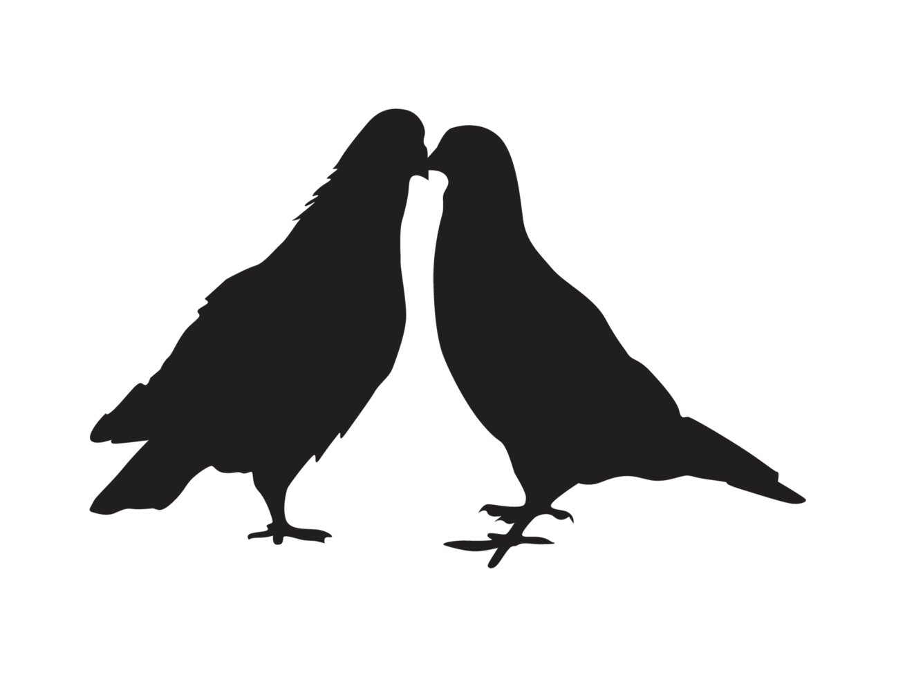 Bird - couple dove silhouette png