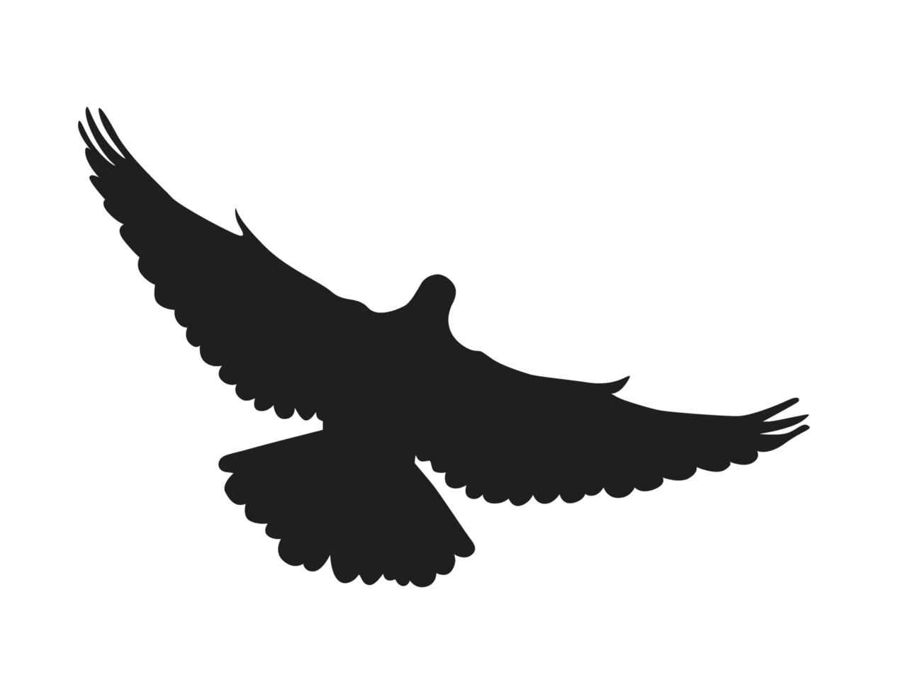Free Bird - flying dove silhouette 12904405 PNG with Transparent Background