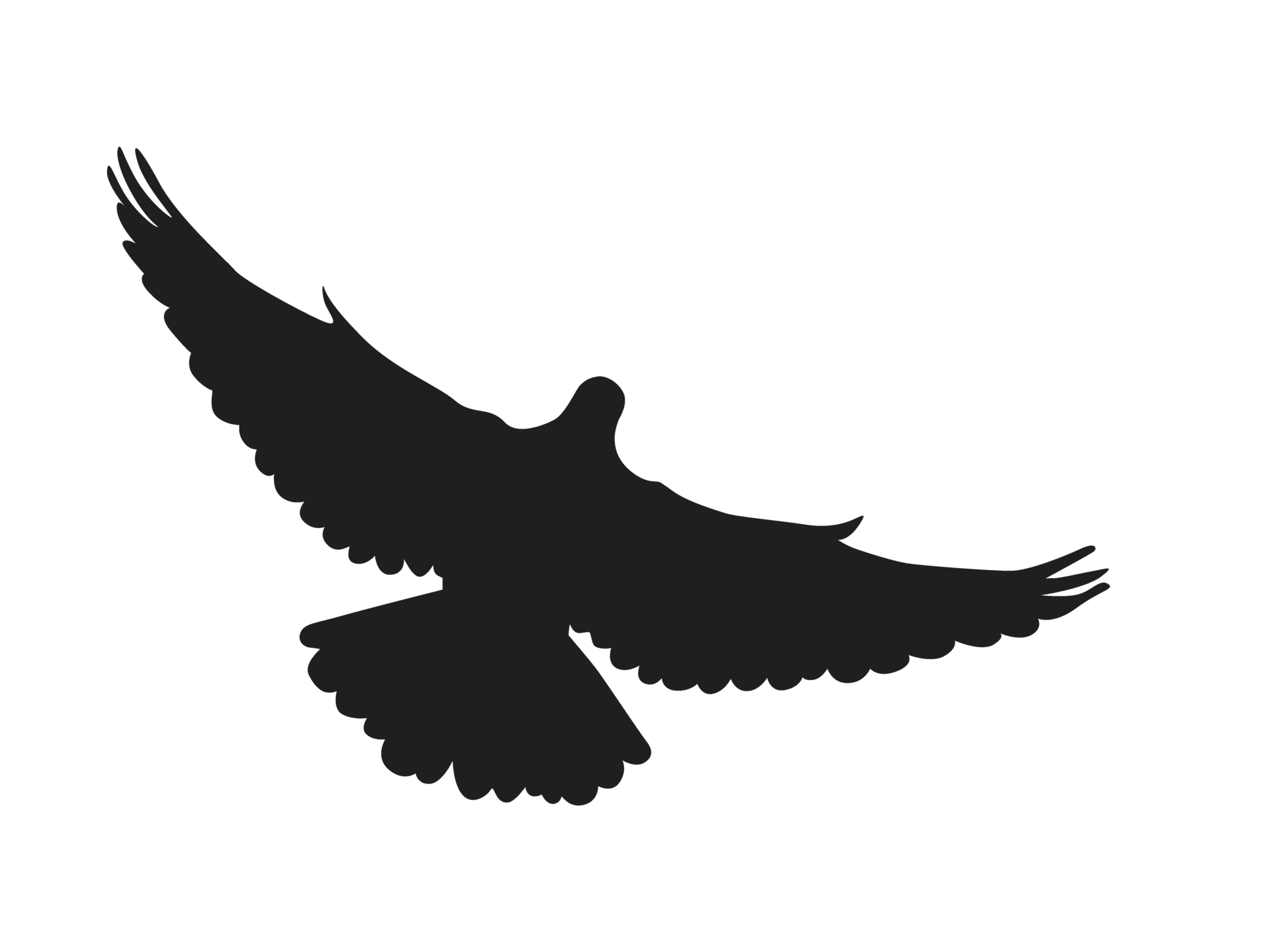 dove silhouette png