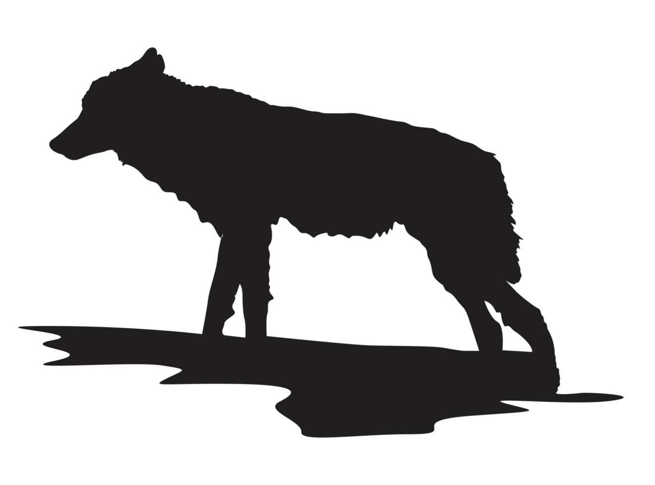 animale - lupo silhouette png